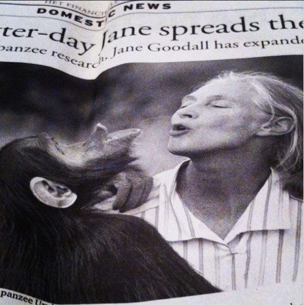 fd_janegoodall